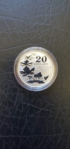 Kanada dollars 2011 - 20, silber