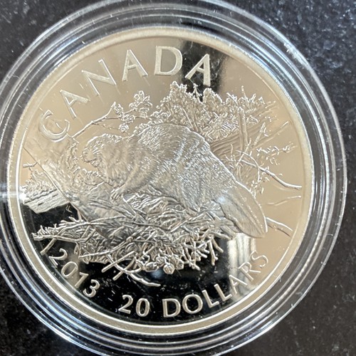 Dollar kanada 2013 biber pp - kanada,