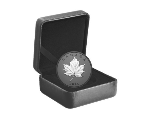 Kanada silber 2025 dollar - silber,
