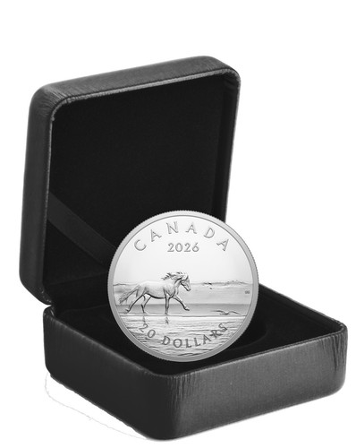 Kanada dollar 2026 silber - kanada,