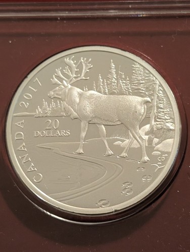 Silber polierte platte - silber,,