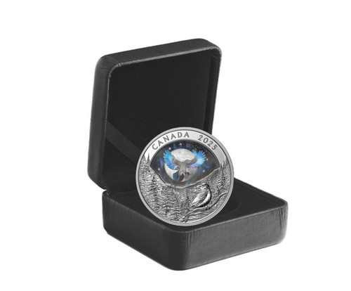 Kanada dollar 2025 silber - kanada,